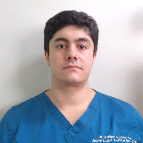 Dr. Felipe Aguilar